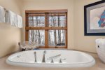 Luxurious jacuzzi tub in the bathroom, a walk-in closet, and breathtaking views.